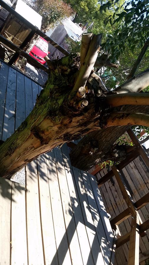 Mi Pesadilla Salinas Home Dış mekan fotoğraf