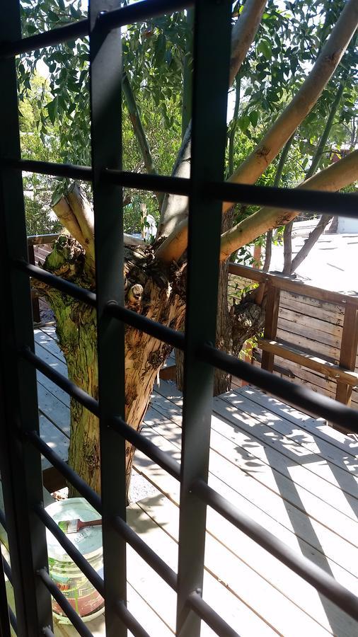 Mi Pesadilla Salinas Home Dış mekan fotoğraf