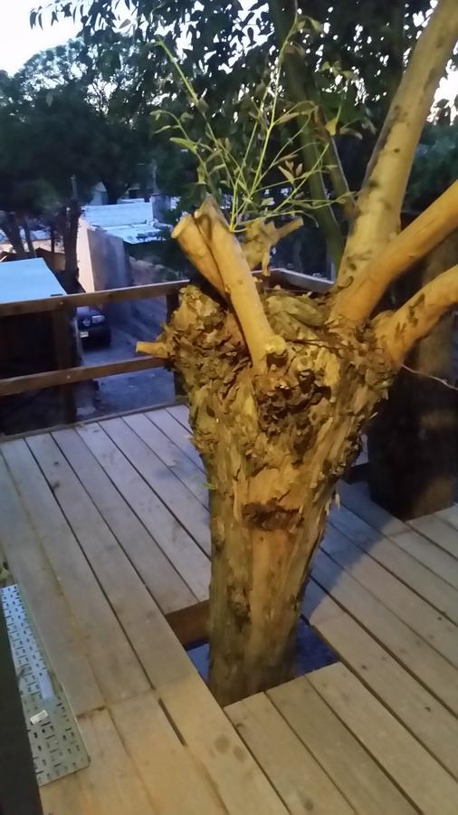 Mi Pesadilla Salinas Home Dış mekan fotoğraf